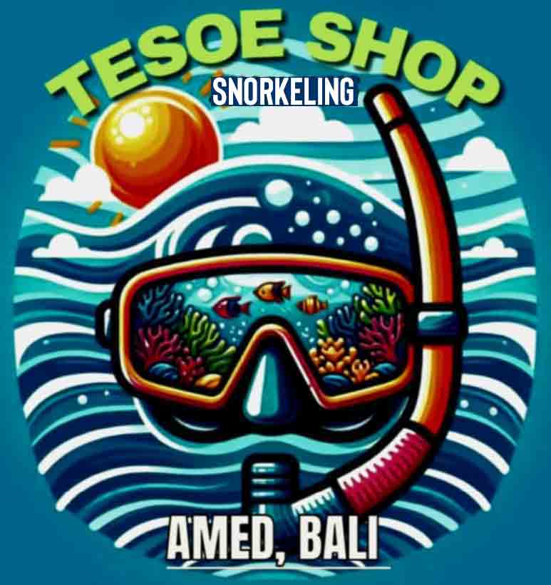 tesoeshop amed